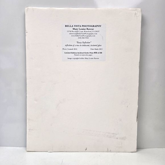 Rosey Reflection Giclée Art Print Rose Flower Mary Louise Ravese Signed Numbered - Picture 4 of 14